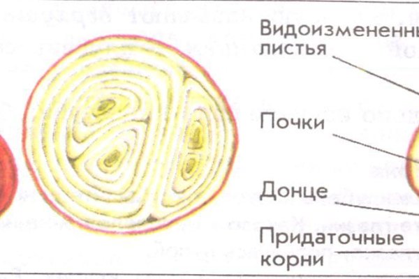 Кракен ссылка онион зеркало